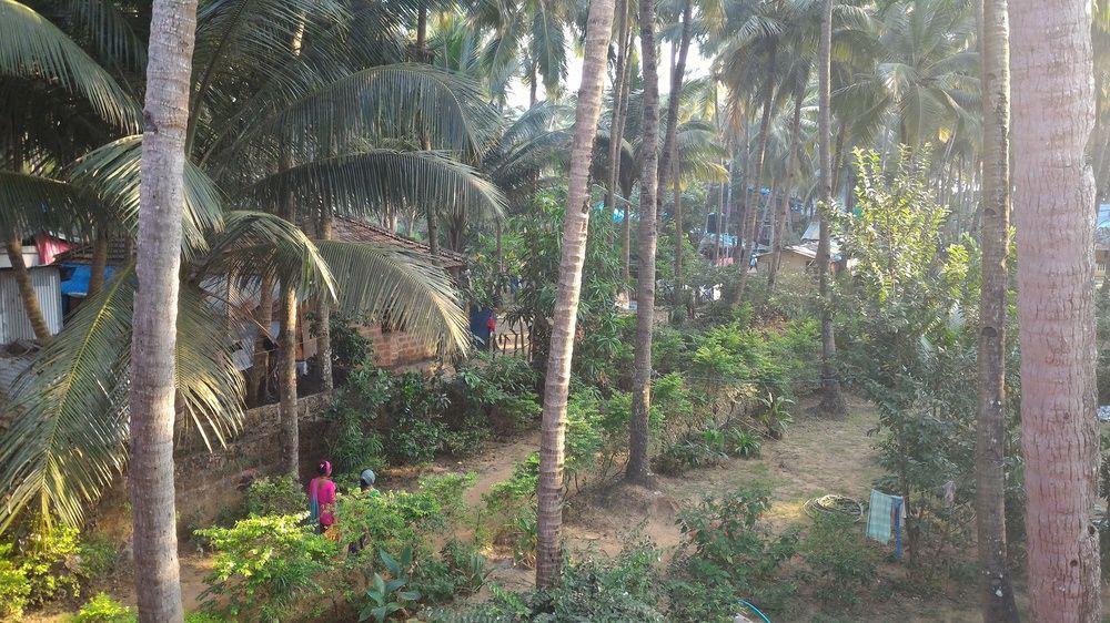 La Alegro Hotel Palolem Bagian luar foto